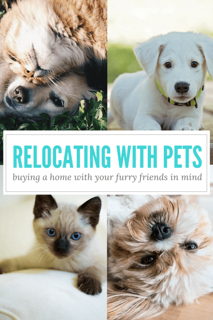 Relocating with Pets: Buying a Home with Your Furry Friends in Mind